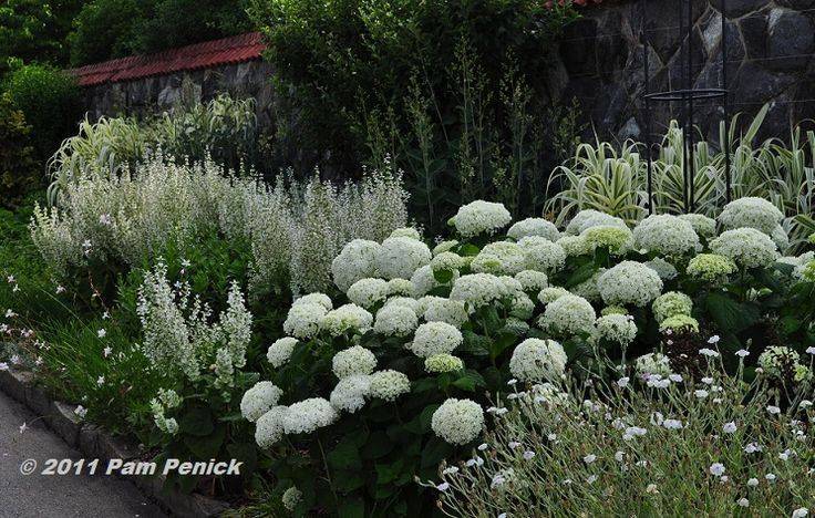 This Planting Vignette