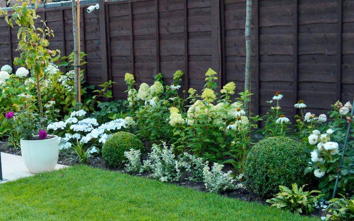 Beautiful Green And White Plant Combinations