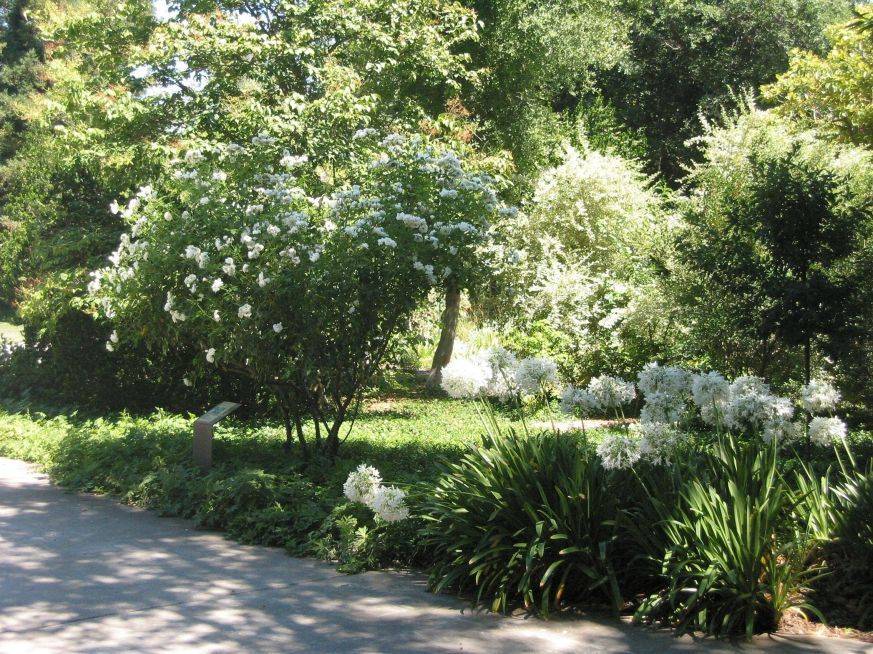 Gorgeous Green And White Garden To Create Calm Atmosphere