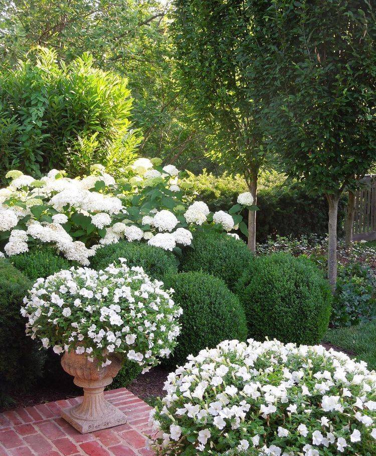 White Impatiens Spectacular Container Gardening Ideas Southern Living