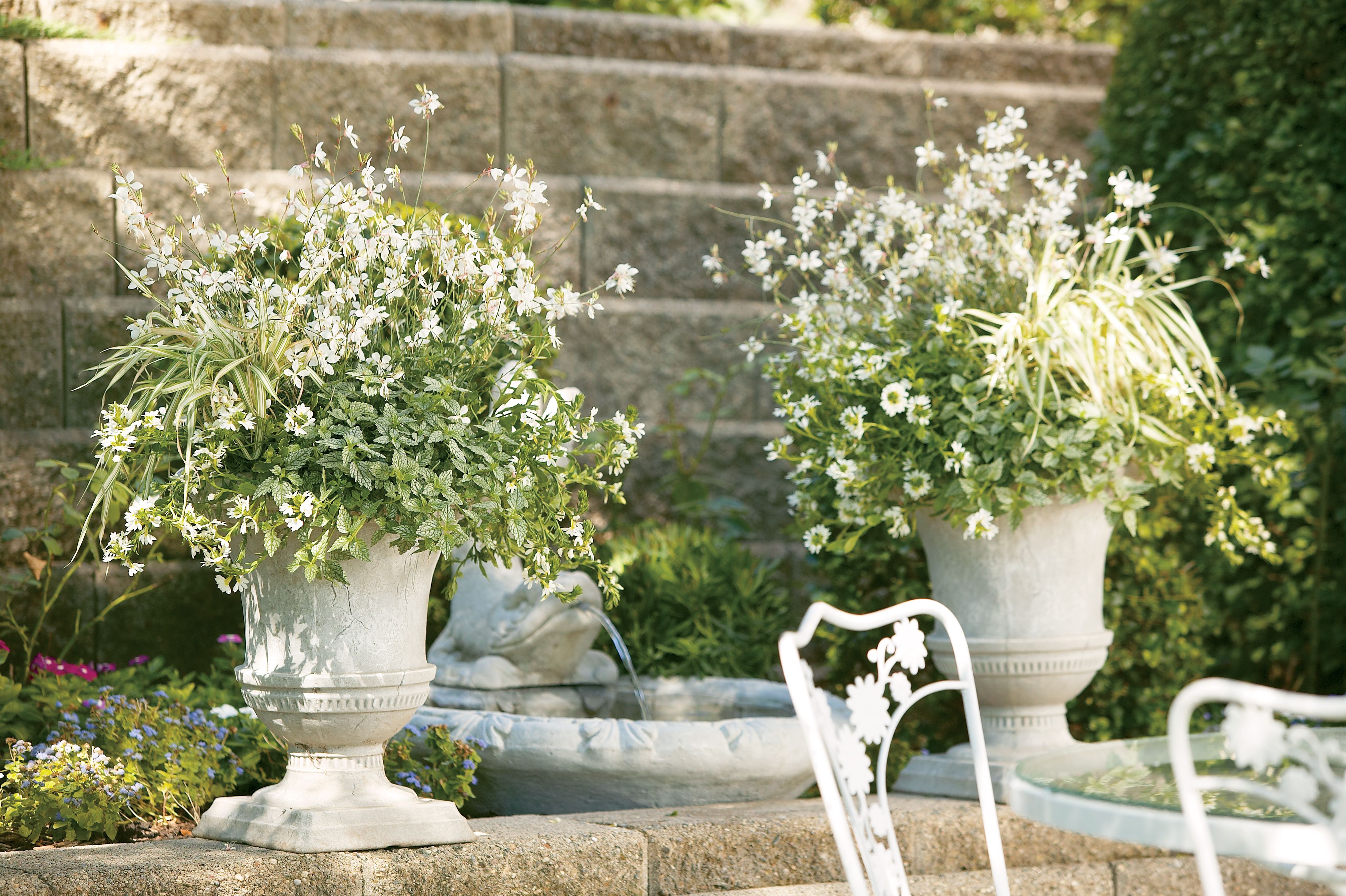 Elegant English Garden Designs