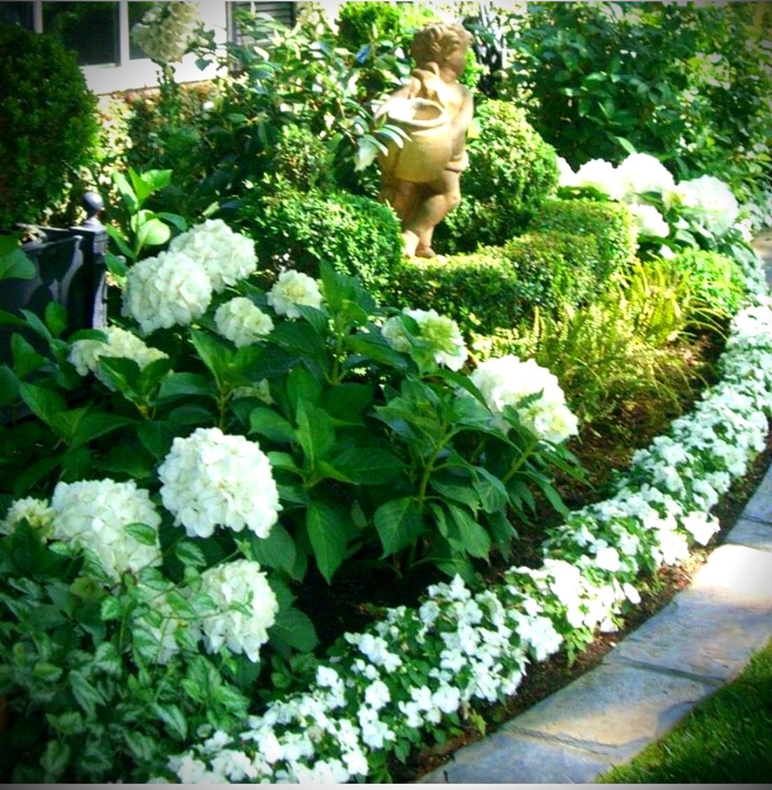 Hydrangea Garden Ideas