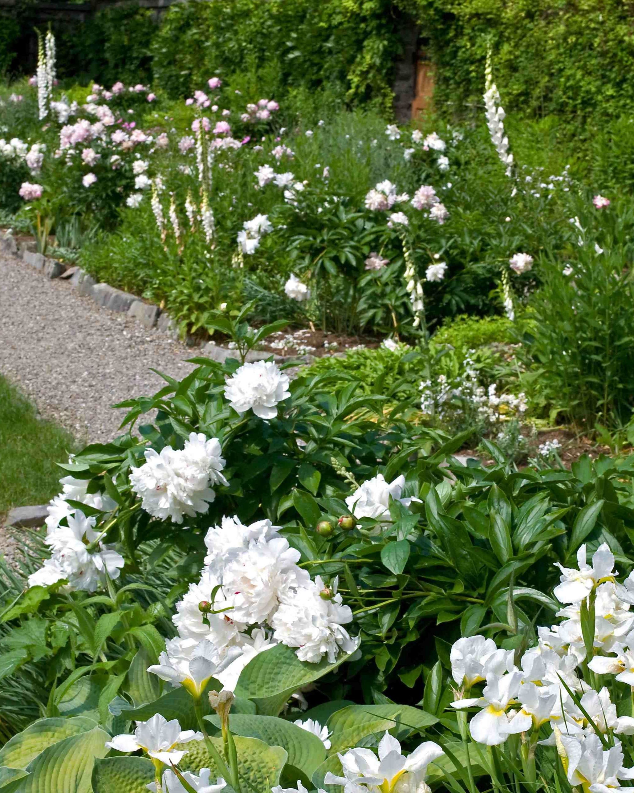 Flower Garden Flower Beds