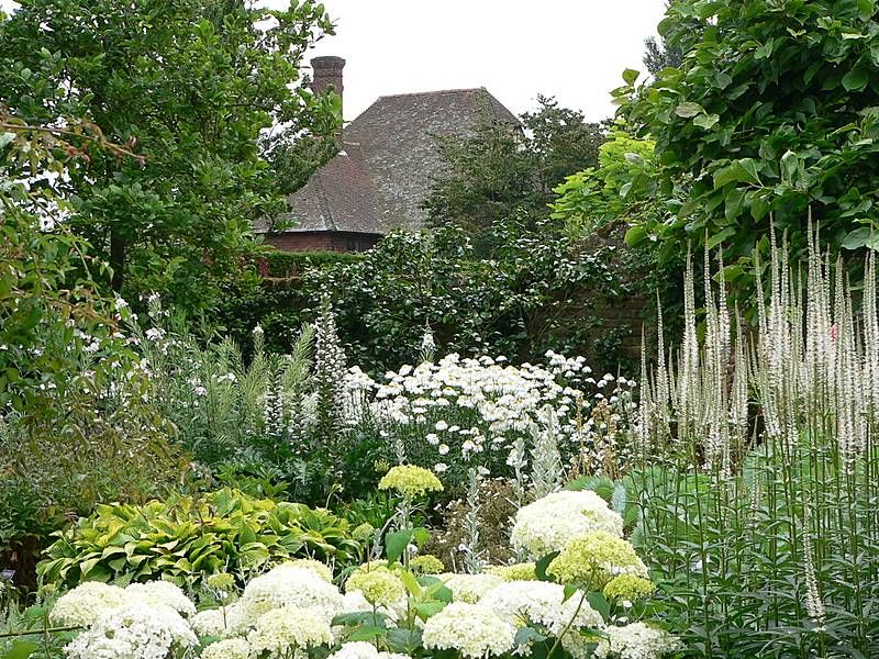 Top Gorgeous White Plants Garden Ideas