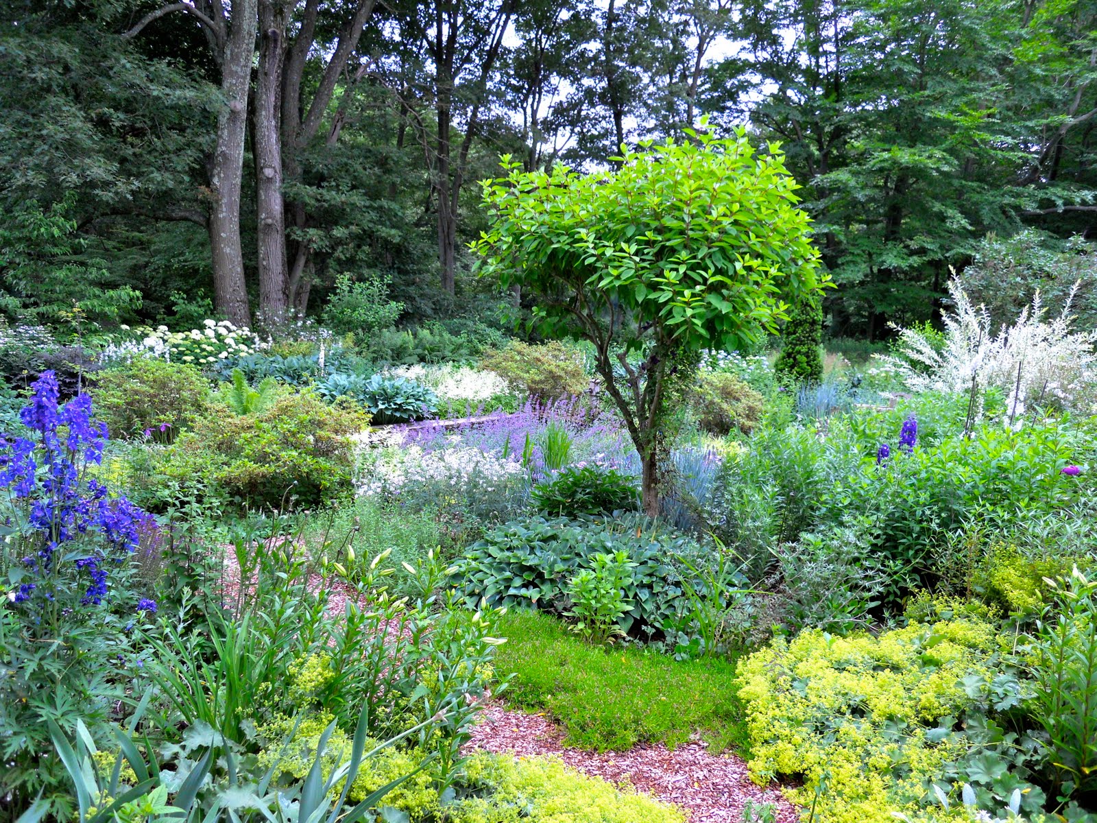 Blue And White Garden Design Ideas Gardening