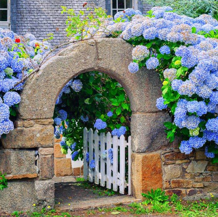 Blue And White Garden Design Ideas Gardening