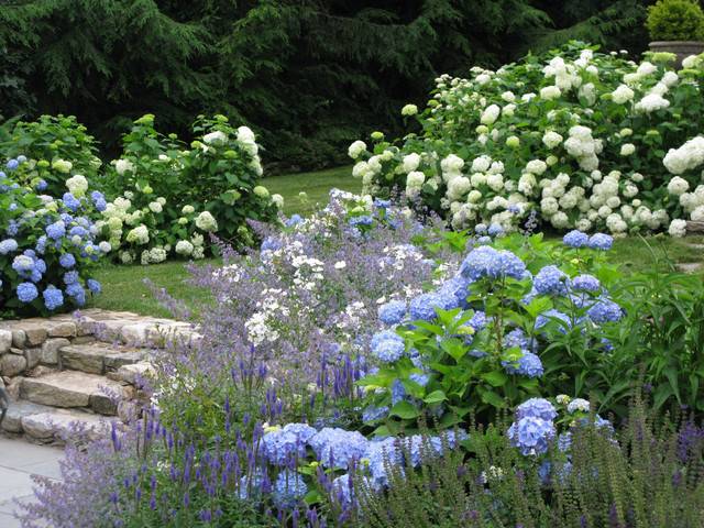 Blue White Garden Design Ideas Gardening