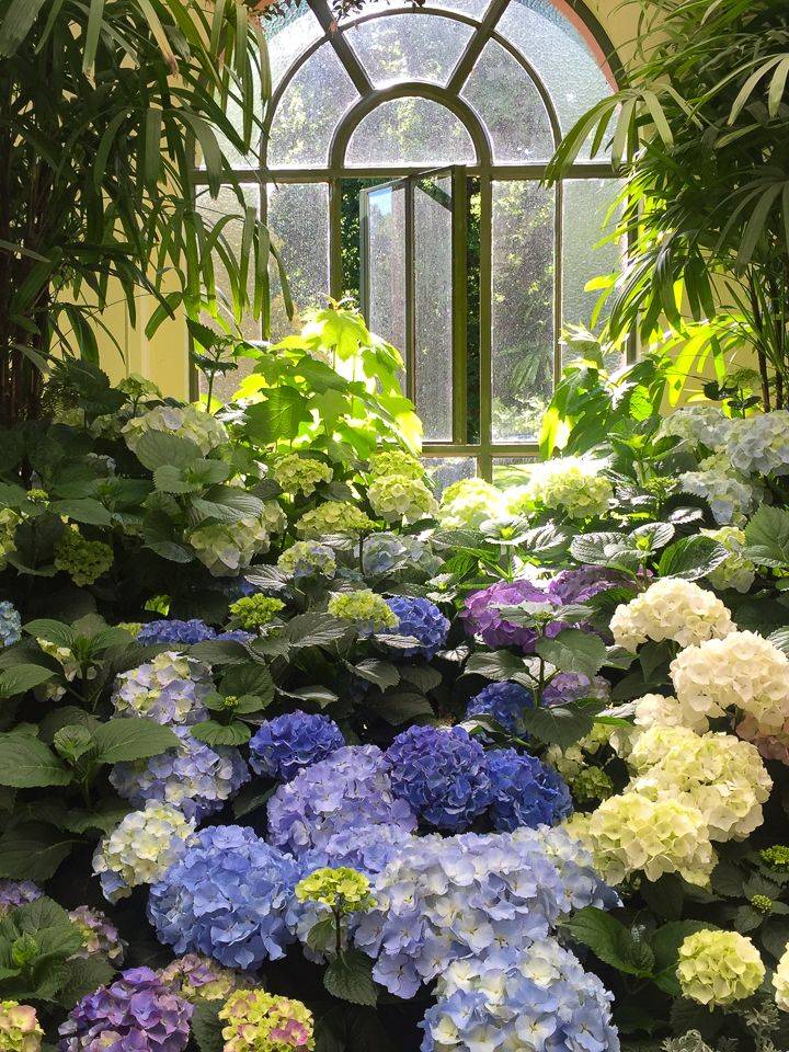 Blue White Garden Design Ideas Gardening