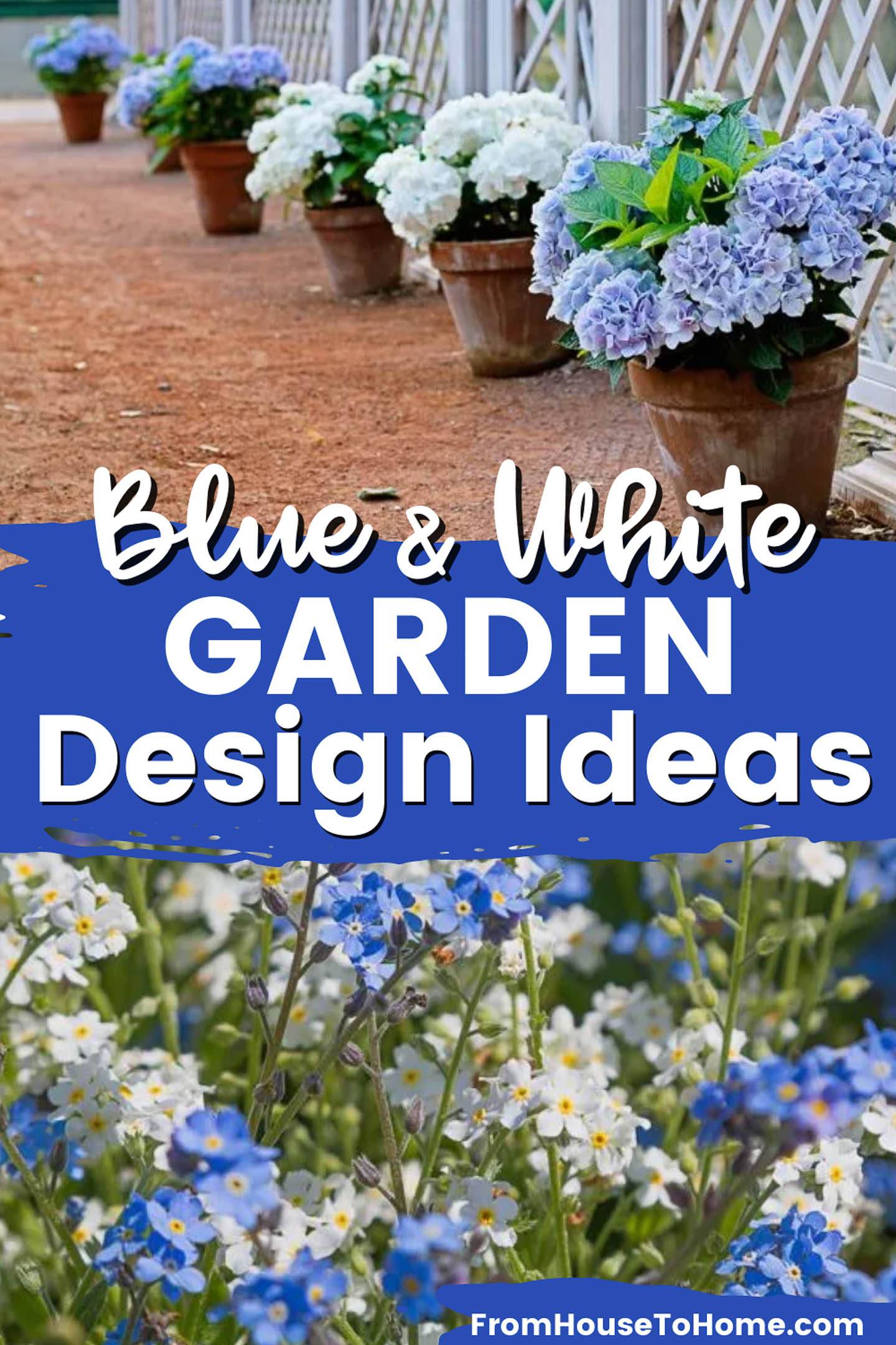 White And Blue Herbaceous Border
