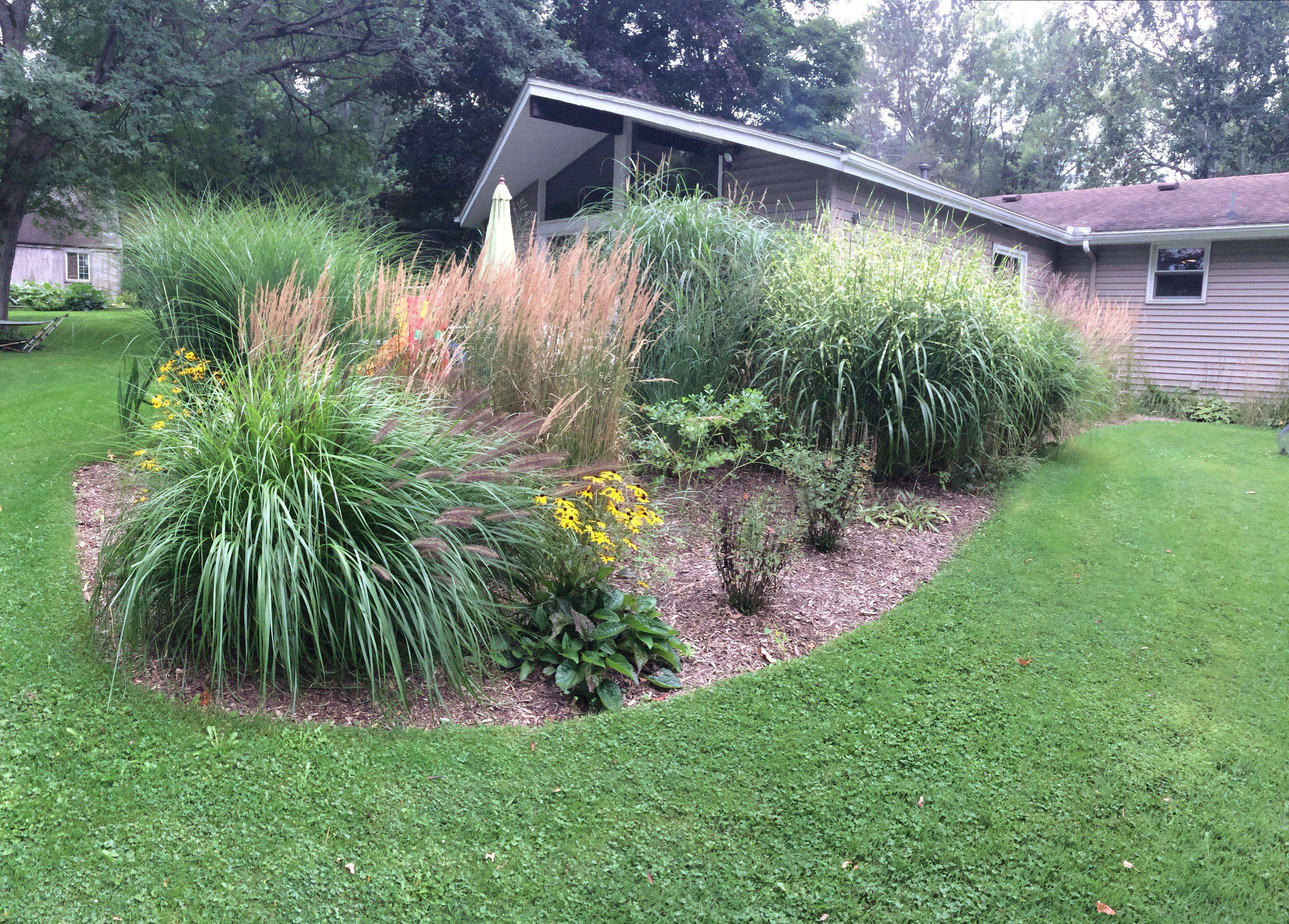 Beautiful Evergreen Grasses Landscaping Ideas Page