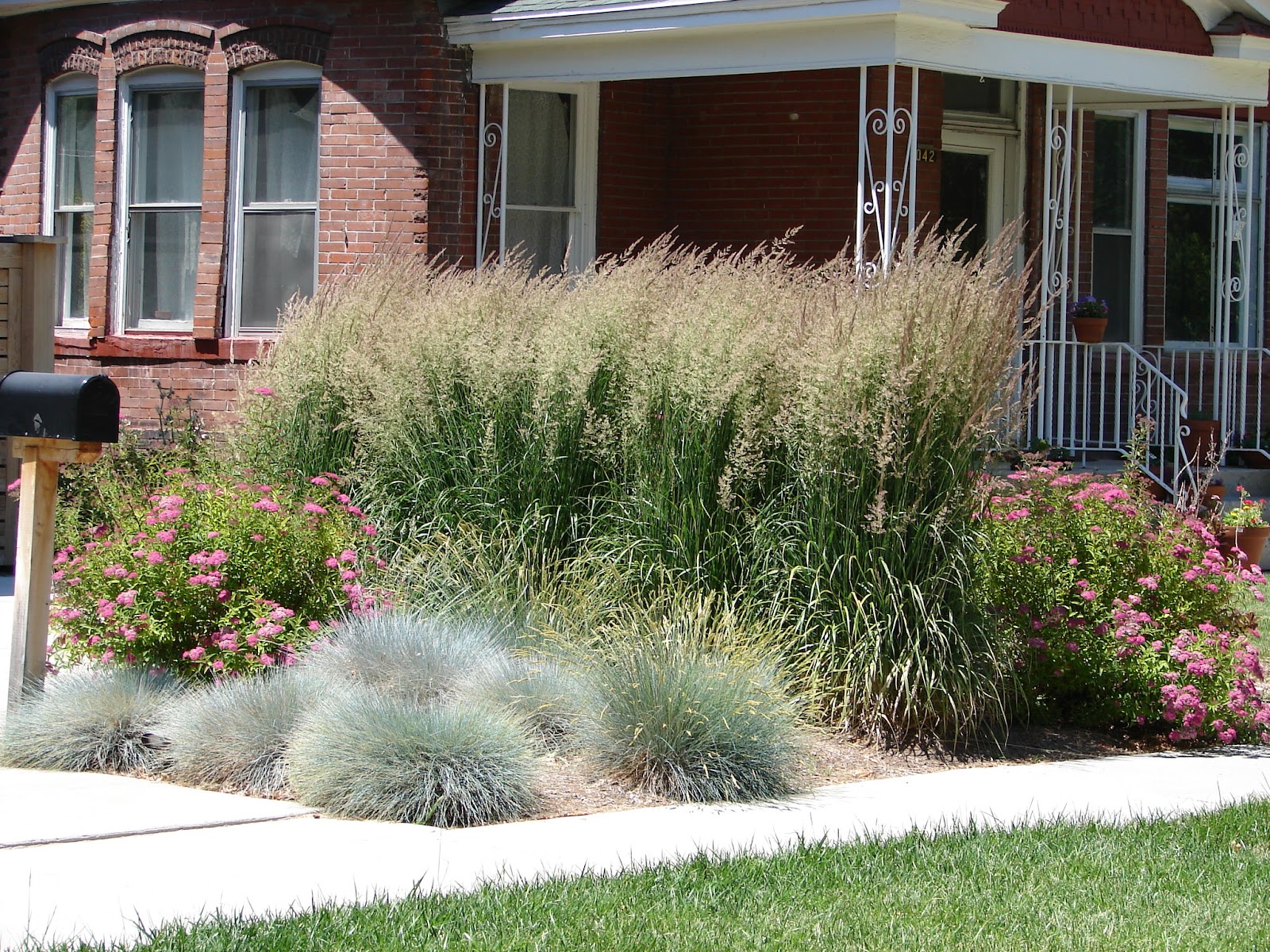 Low Maintenance Front Yard Landscaping Ideas