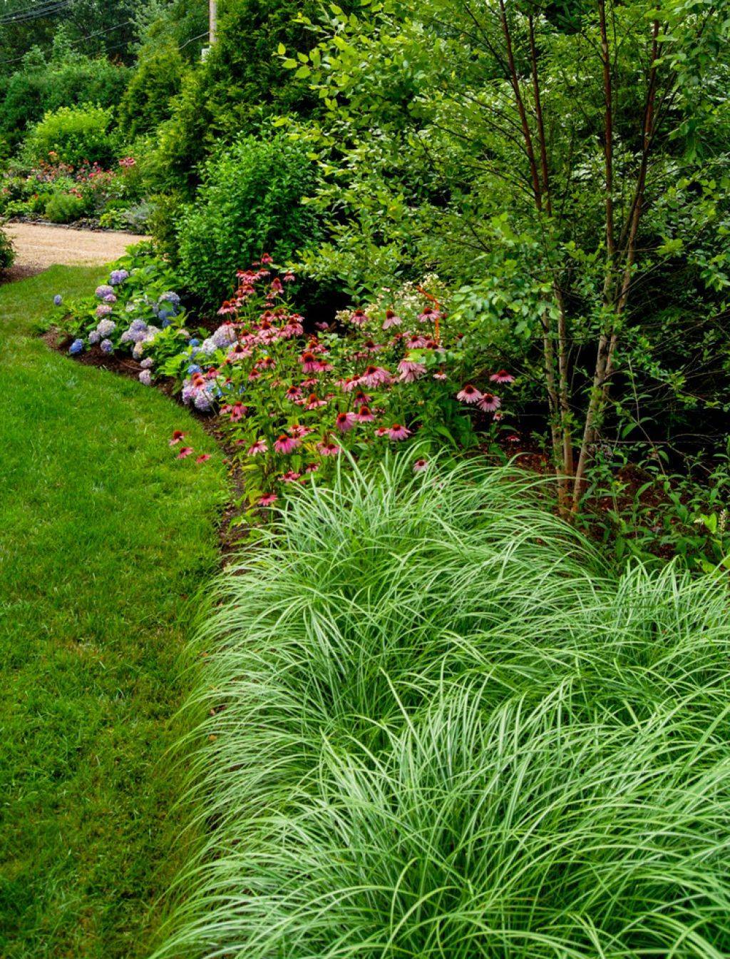 Elegant Ornamental Grasses