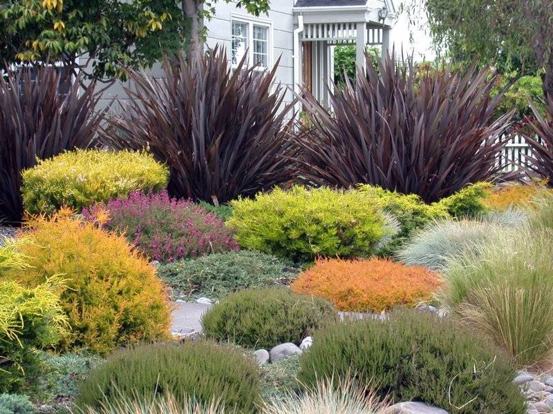 Front Yard Sidewalkgarden Ideas