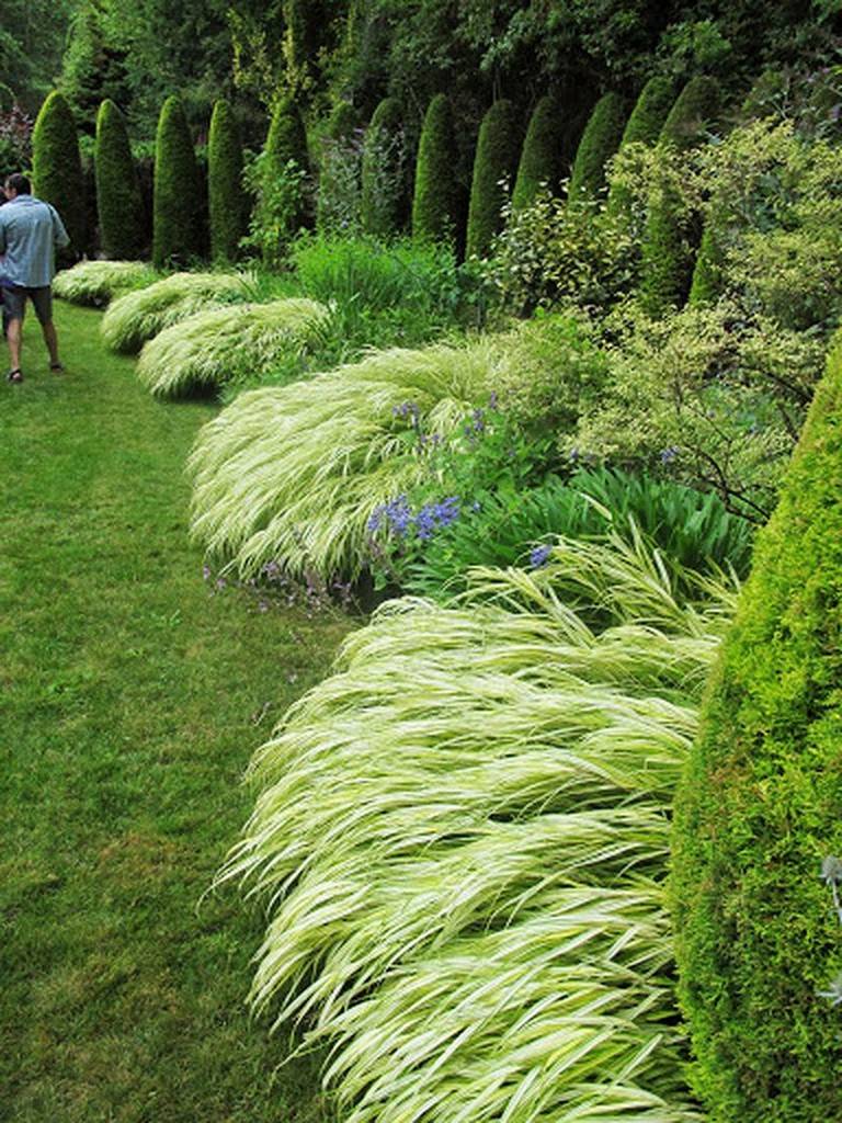 Ornamental Grasses Guide Interior Decorating Colors