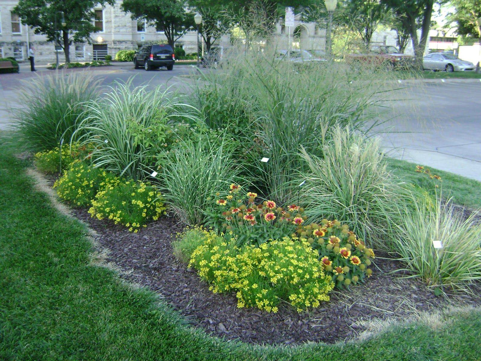Nice Amazing Evergreen Grasses Landscaping Ideas