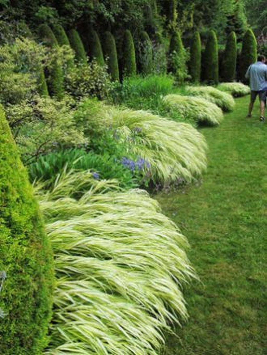 Large Yard Landscaping