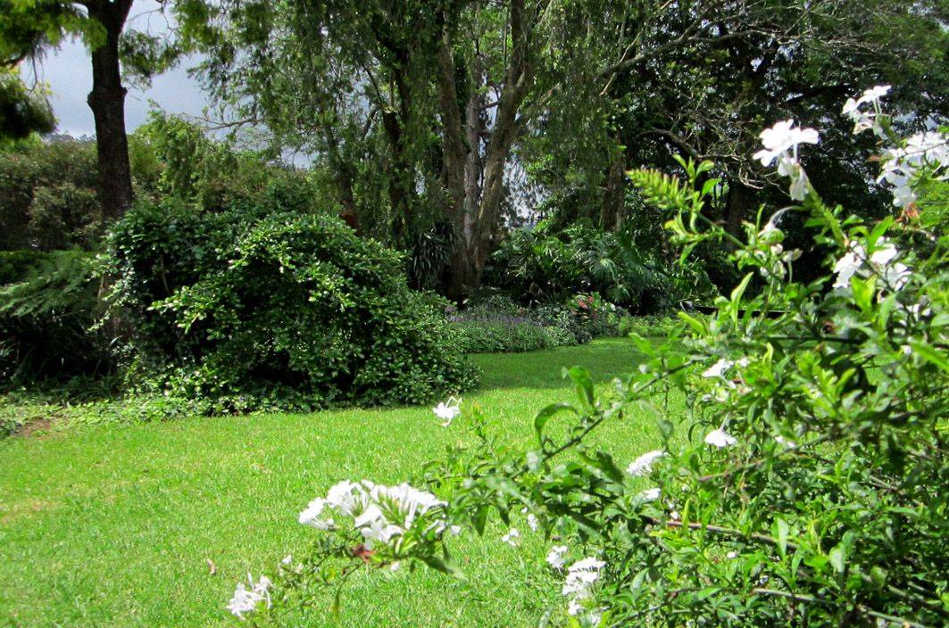 Shade Container Wwwheavenlyscen