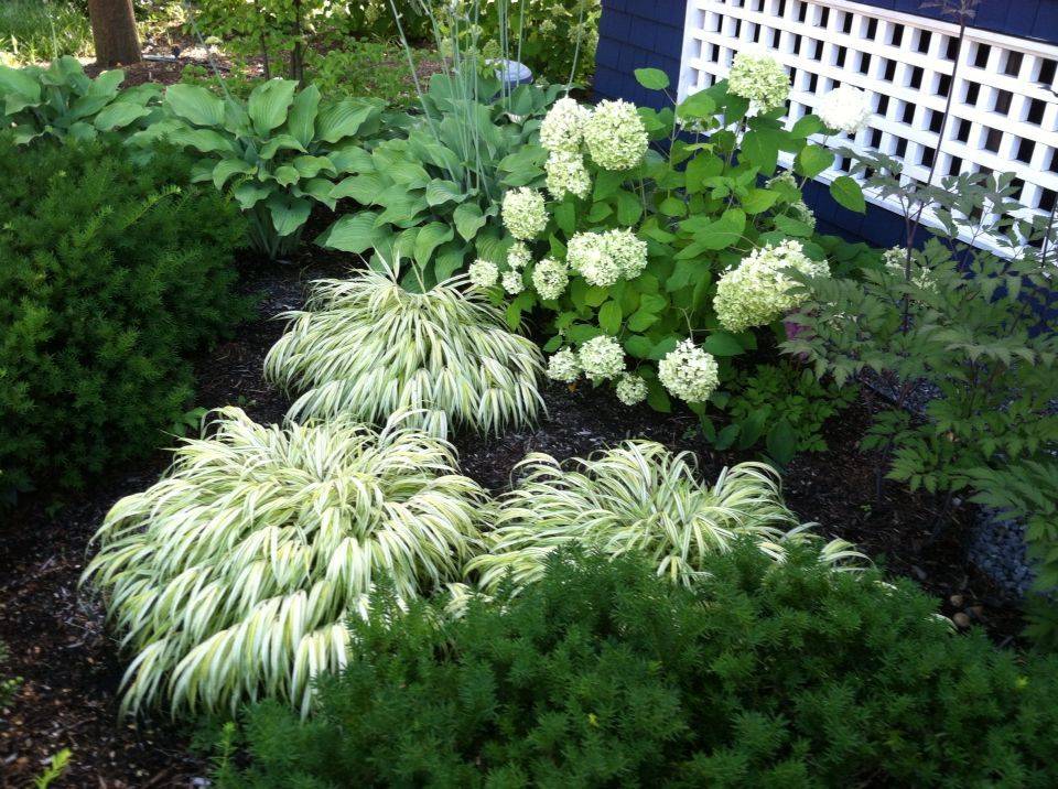 Awesome White Garden Ideas
