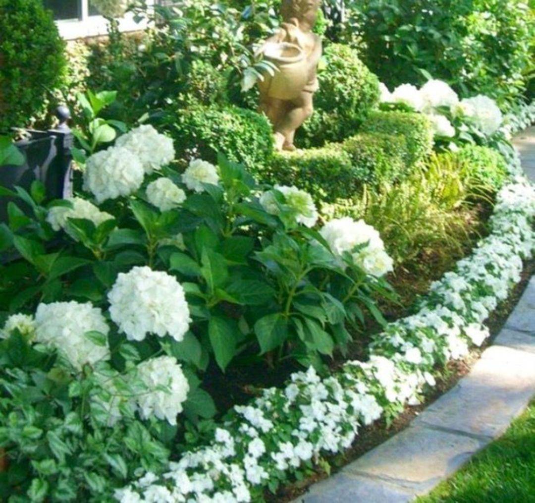 Shade Garden Ideas