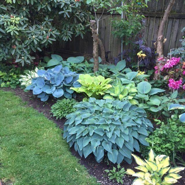 Excellent Shade Garden Design Ideas Page