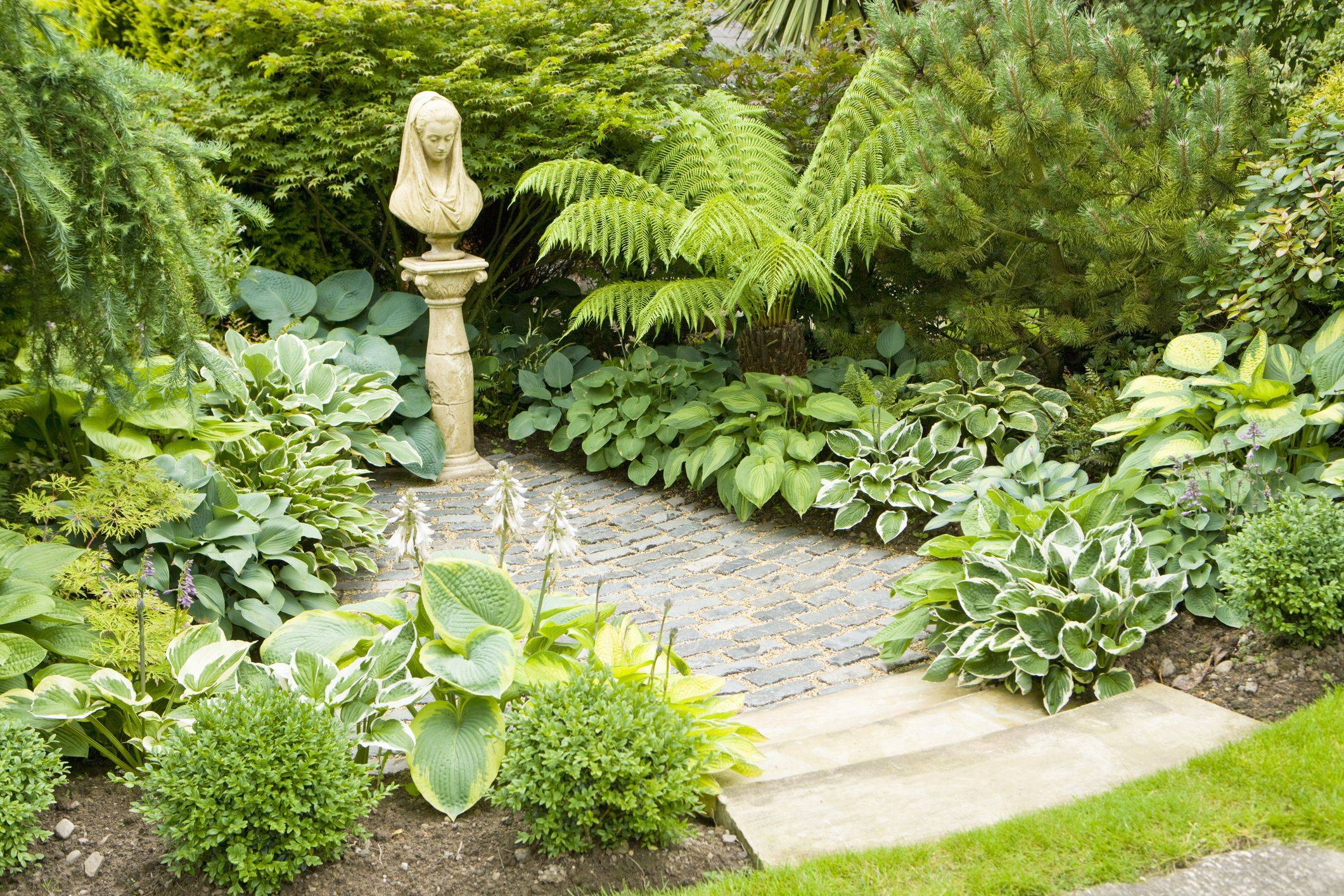 Hosta Shade Garden Front Yard Landscaping Design