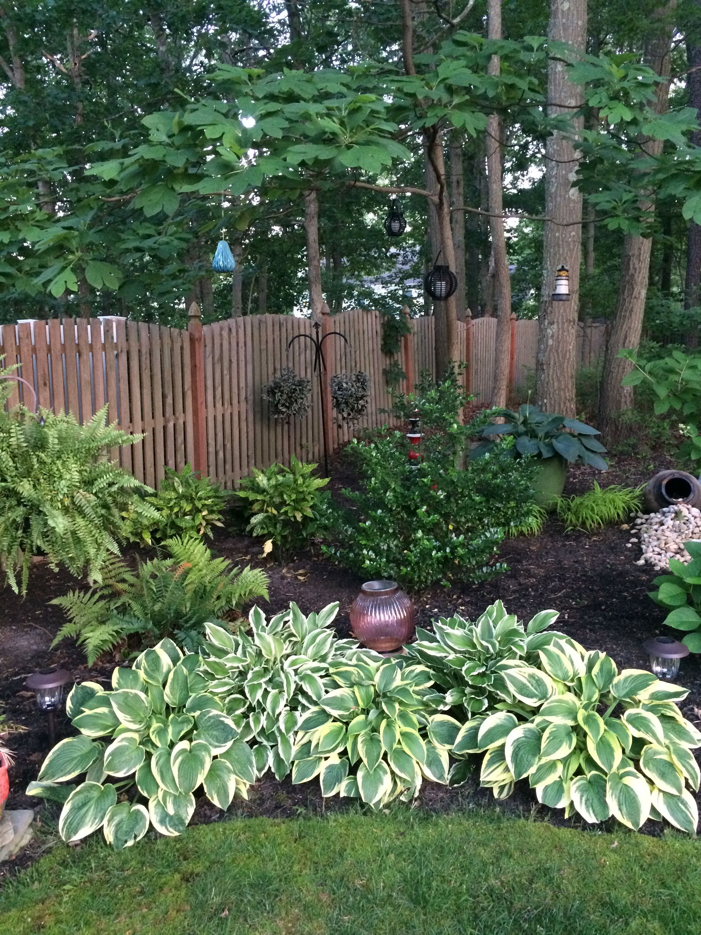 Landscaping Shade Plants