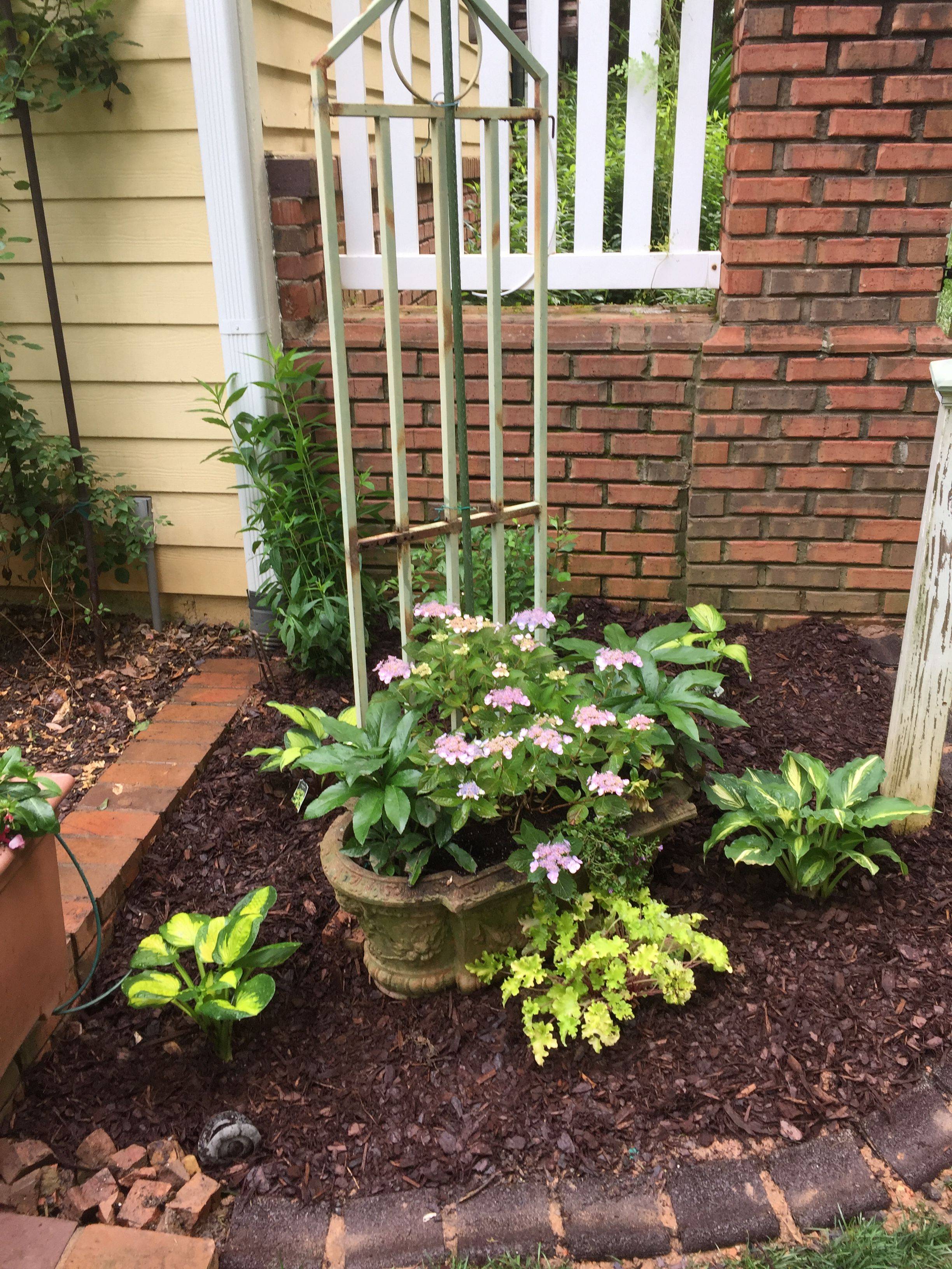 22 Hosta Garden Bed Ideas To Consider SharonSable