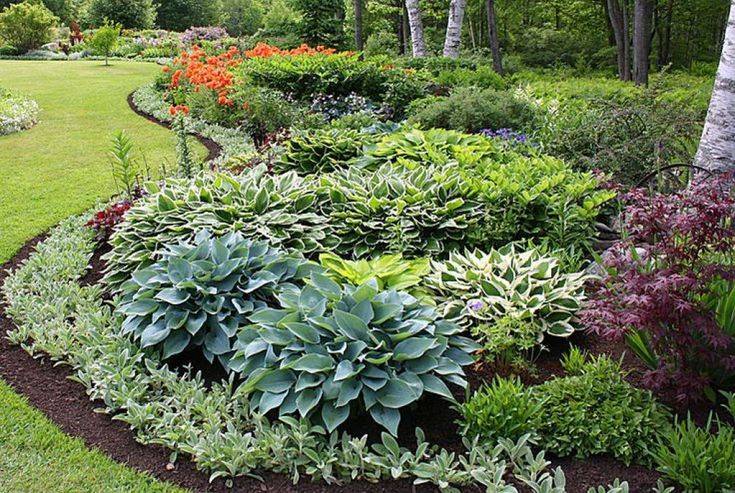 Shade Flower Bed