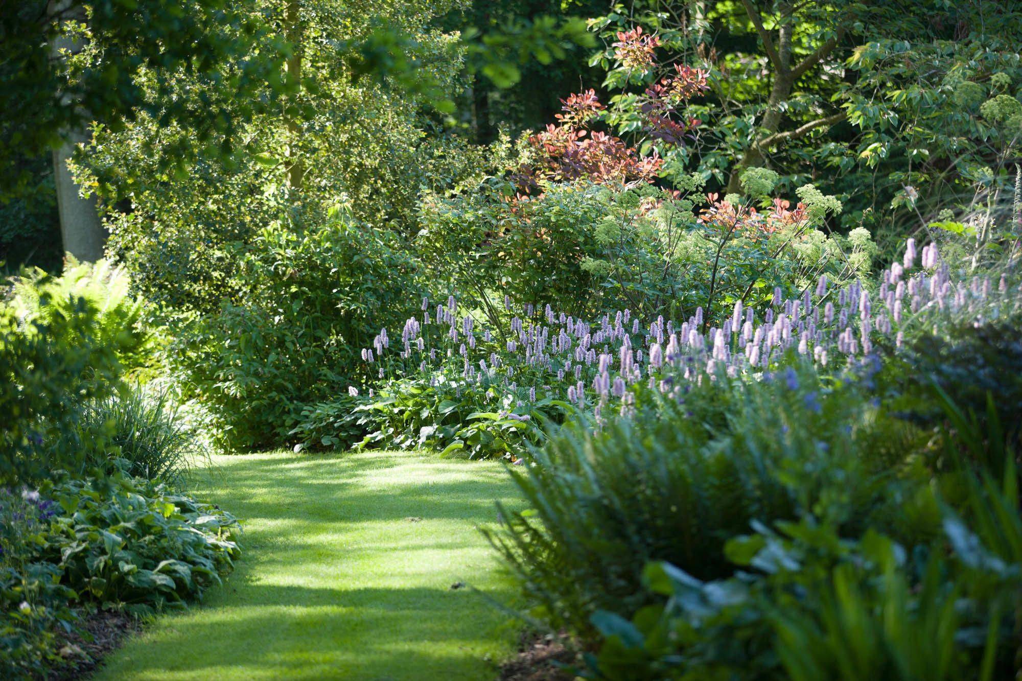 Awesome Shade Garden Ideas Go Travels Plan In Small