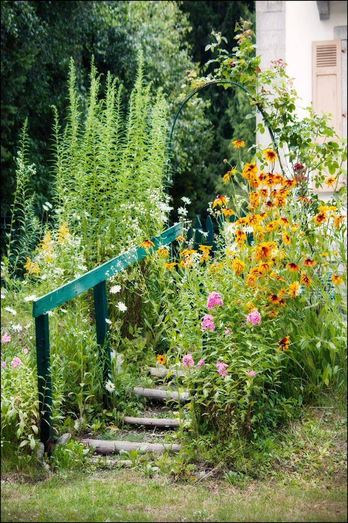 New Orleans Gardenista