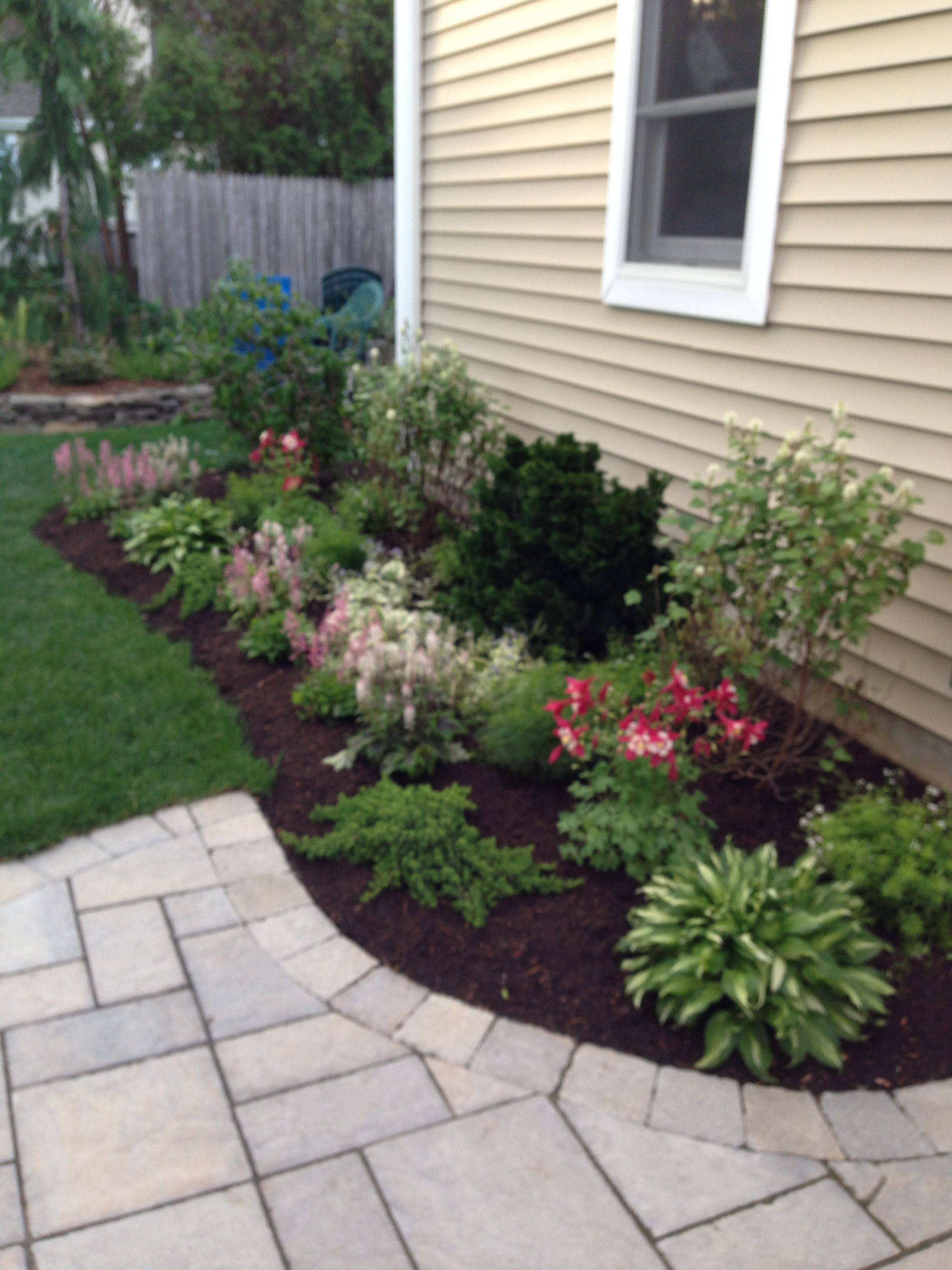 Hosta Shade Garden Front Yard Landscaping Design