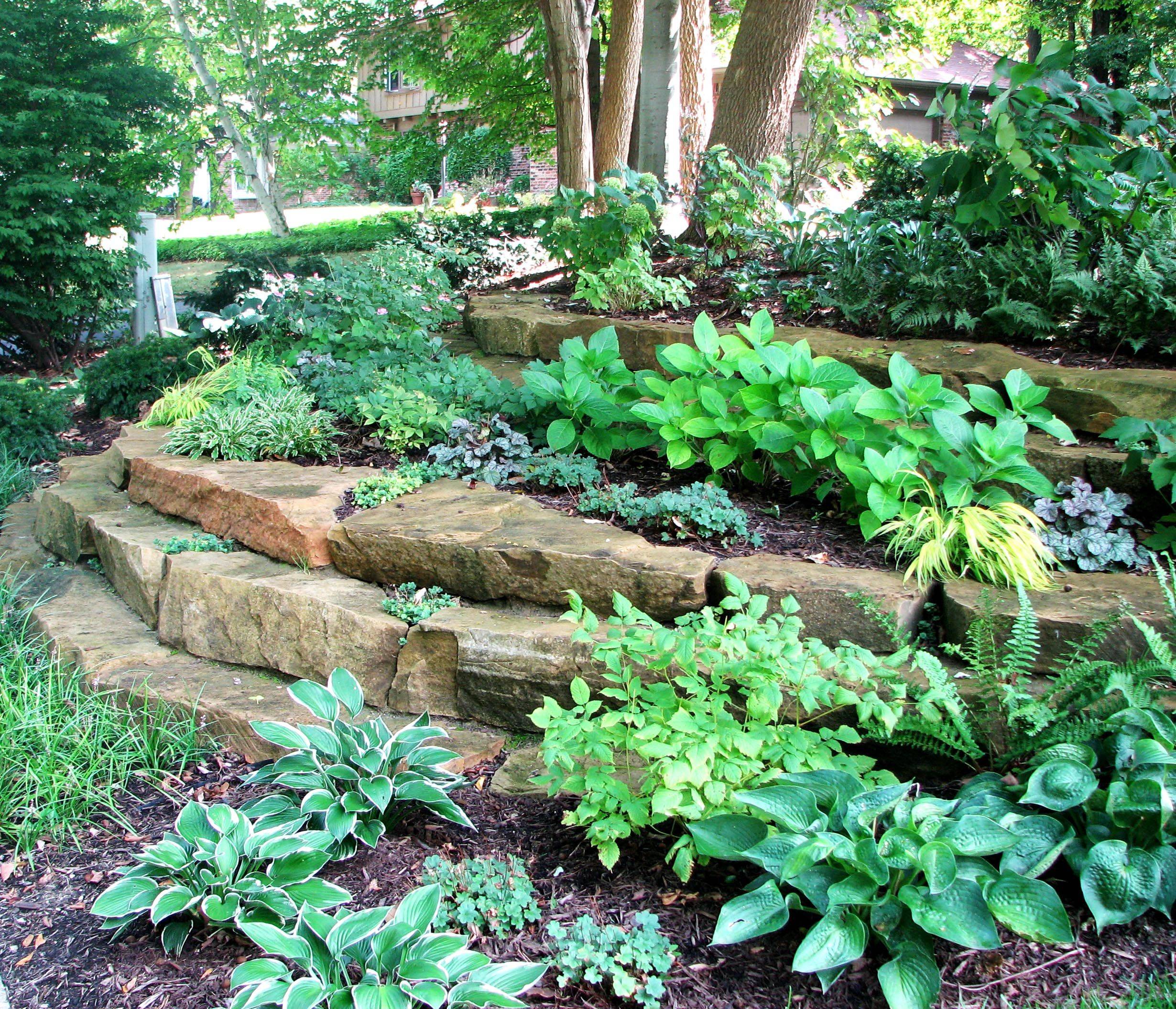 Shade Garden Ideas