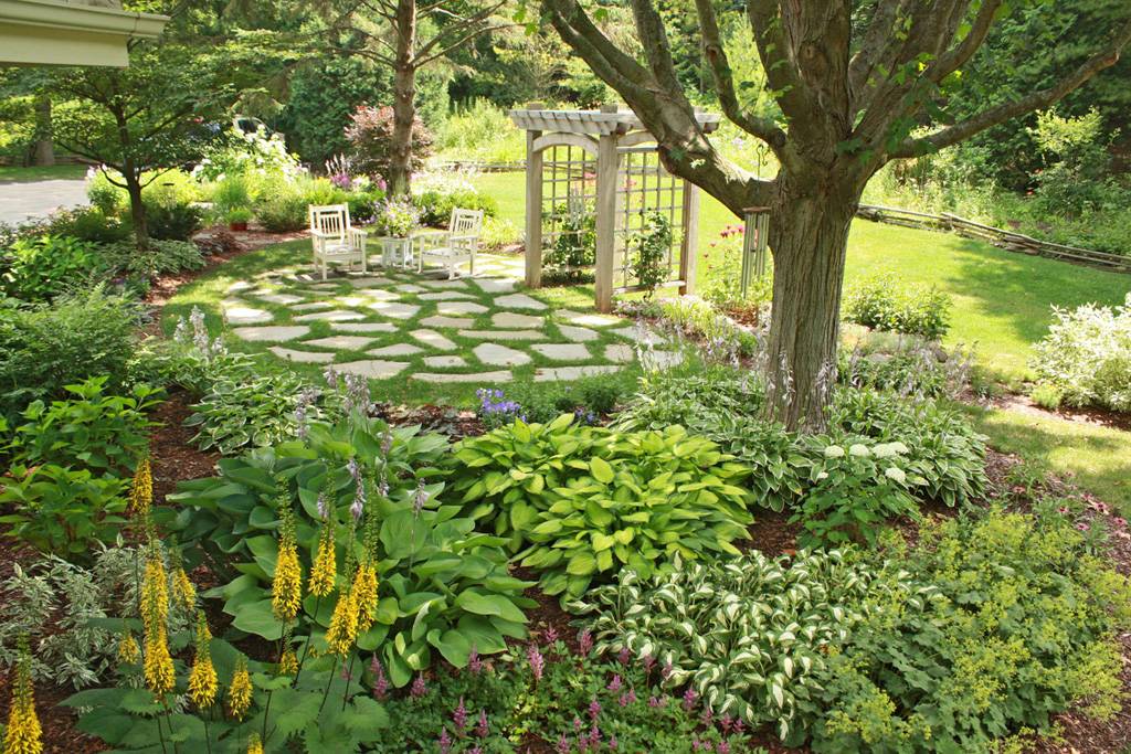 Shady Corner Landscaping Ideas