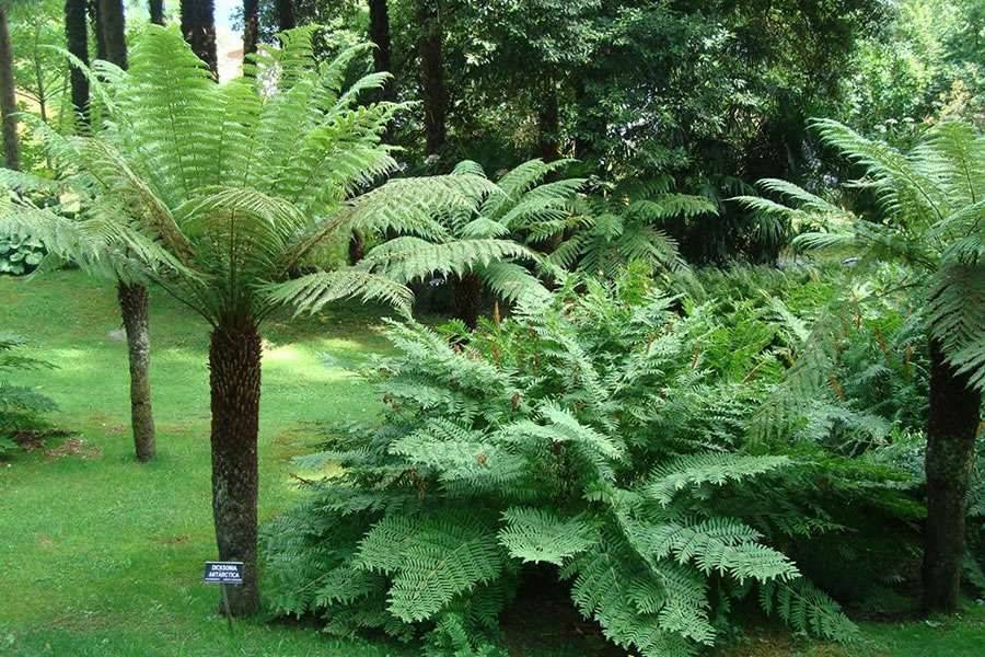 Gardens Japanese Landscape Design