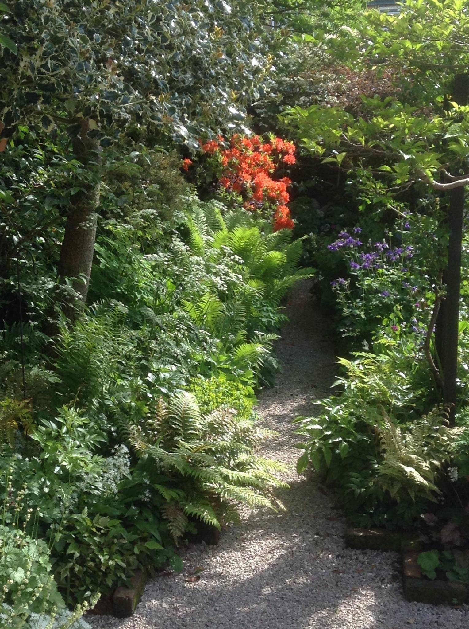 Woodland Garden Ideas