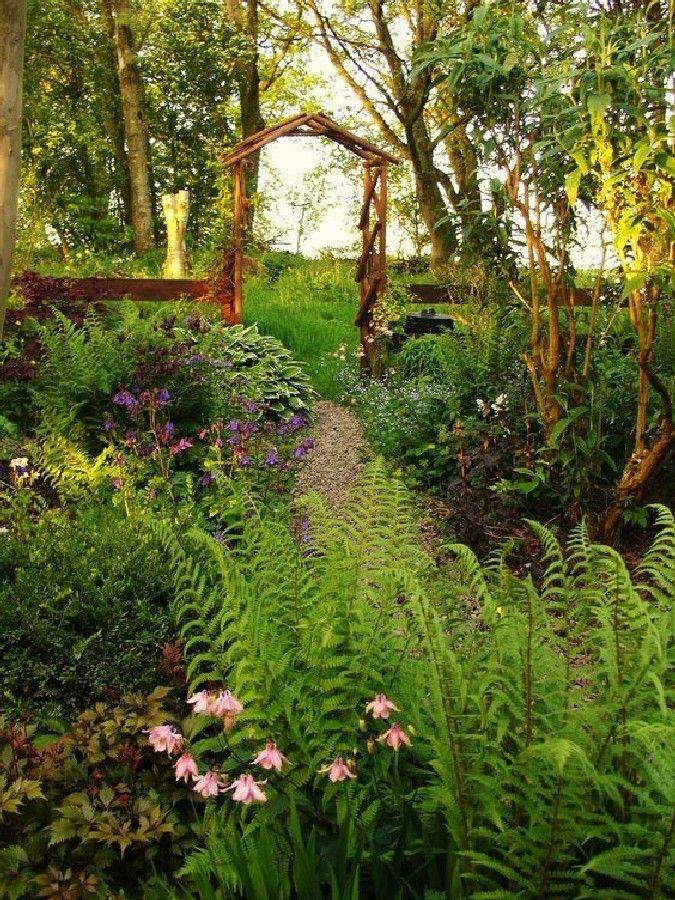 Landscaping Inspiration