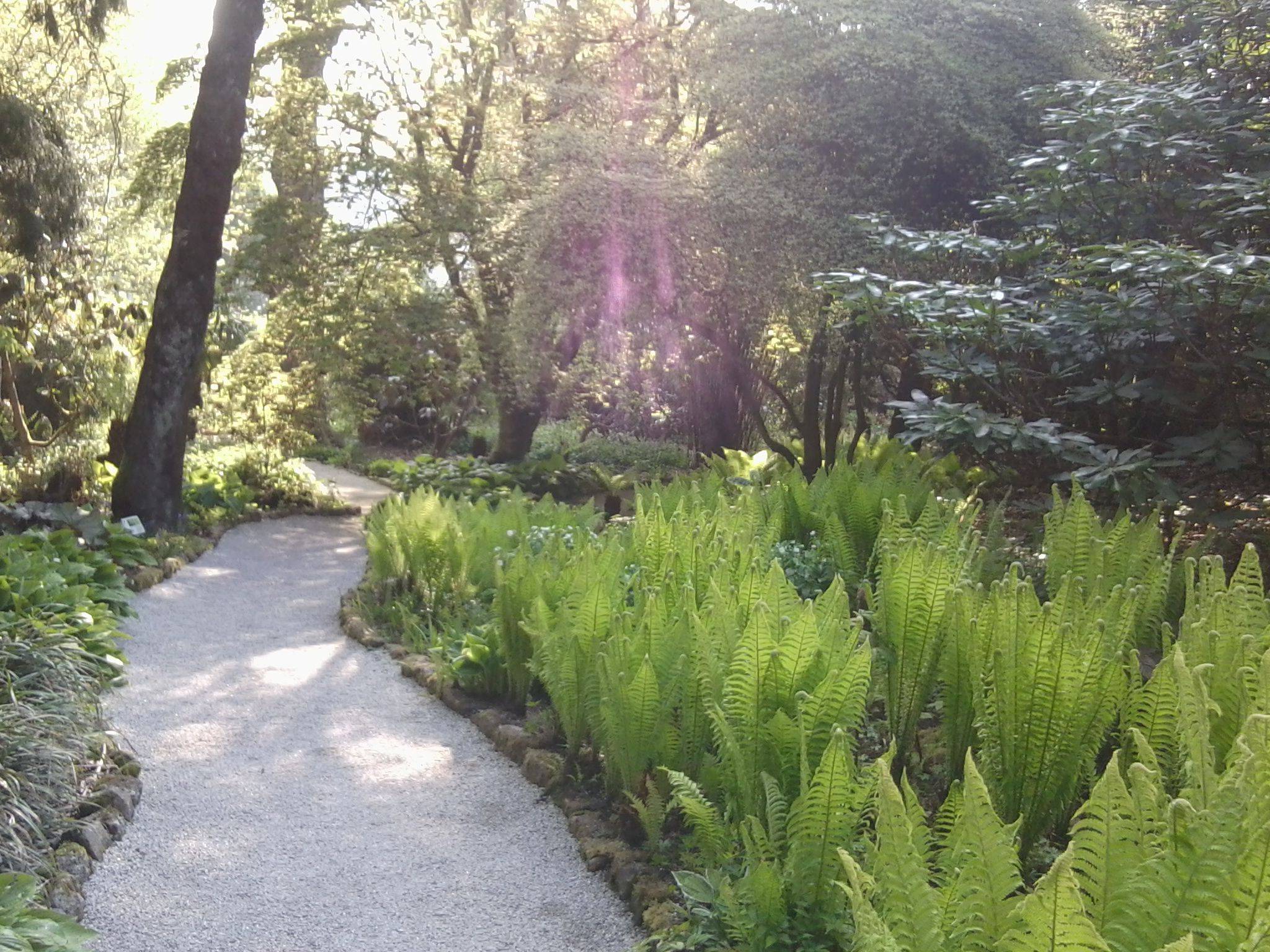 Garden Design