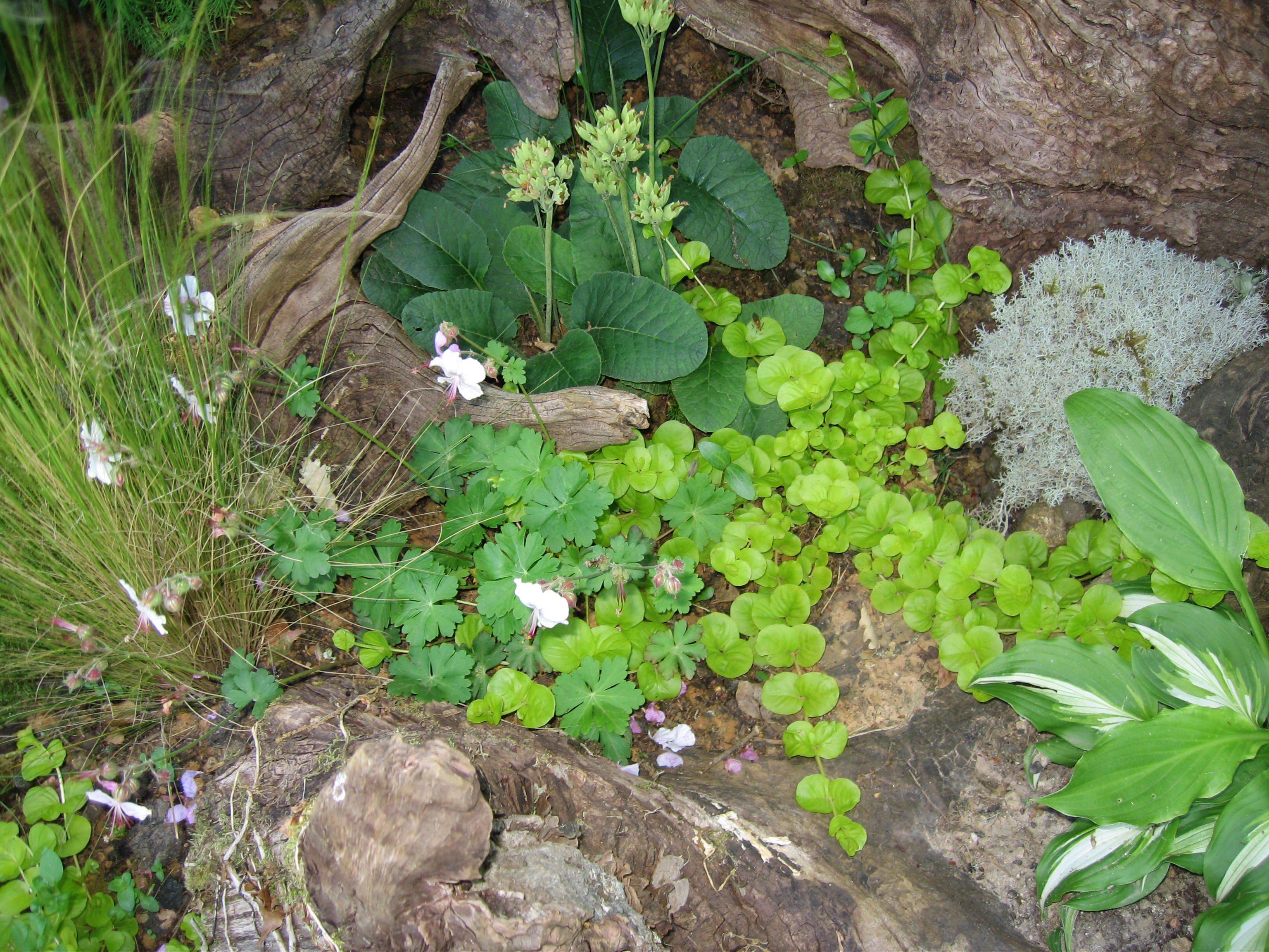 Garden Design