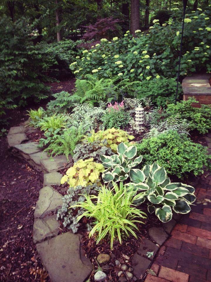 Woodland Garden Inspiration