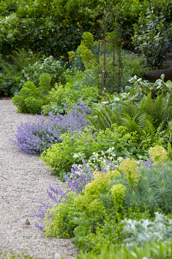 Fern Garden Beautiful Gardens