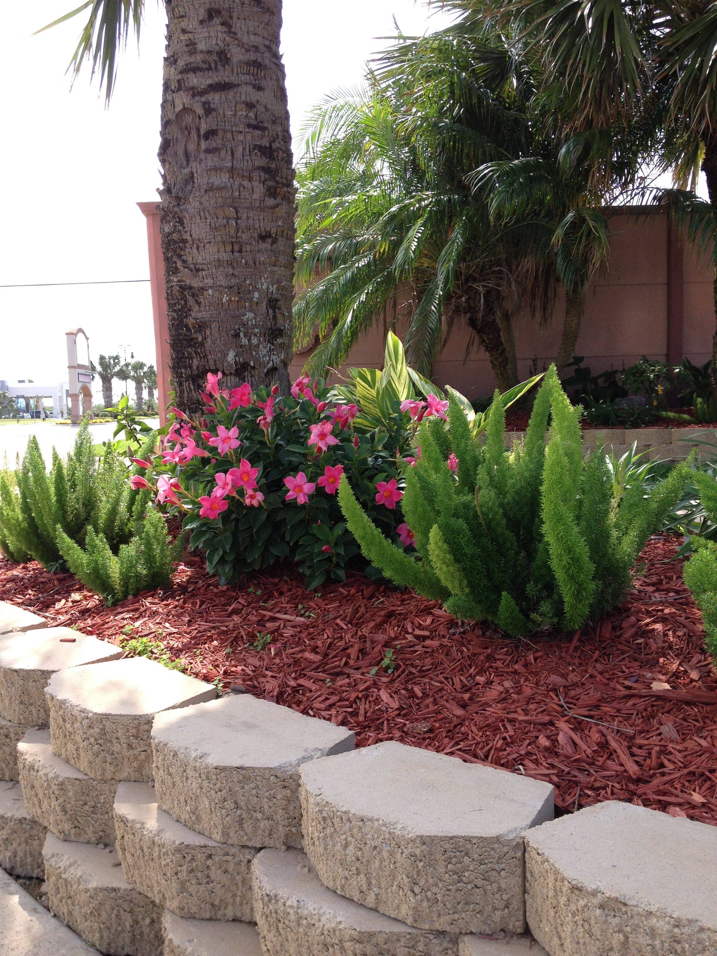 Shade Garden Ideas Primroses