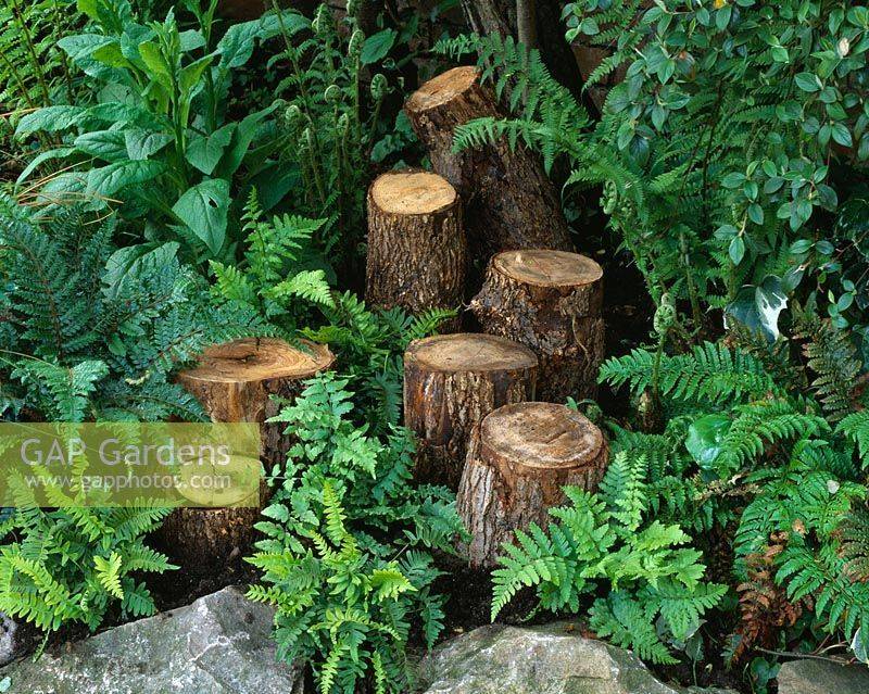Impressive Stumpery Garden Decorations