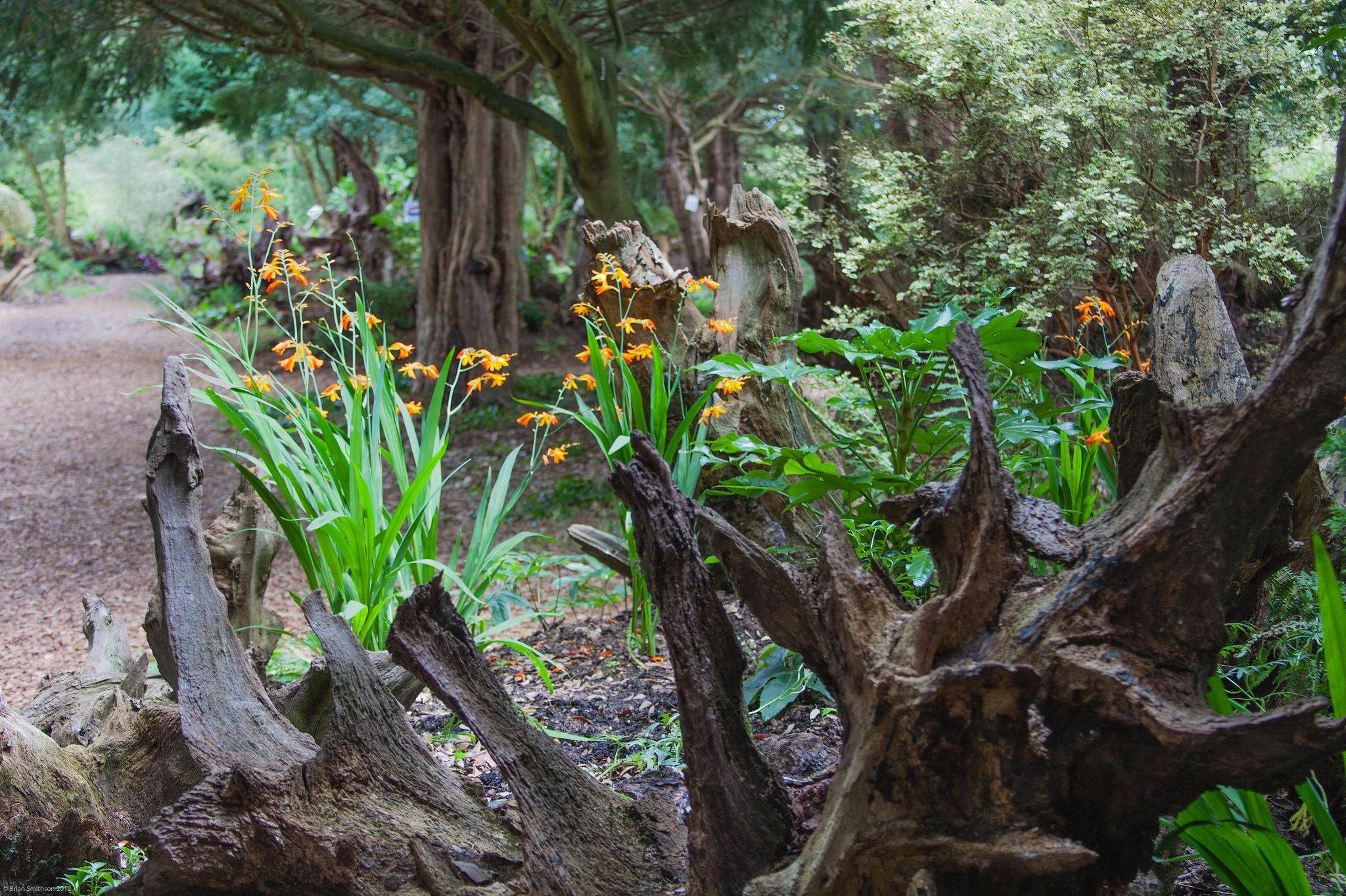 Your Garden Dengarden