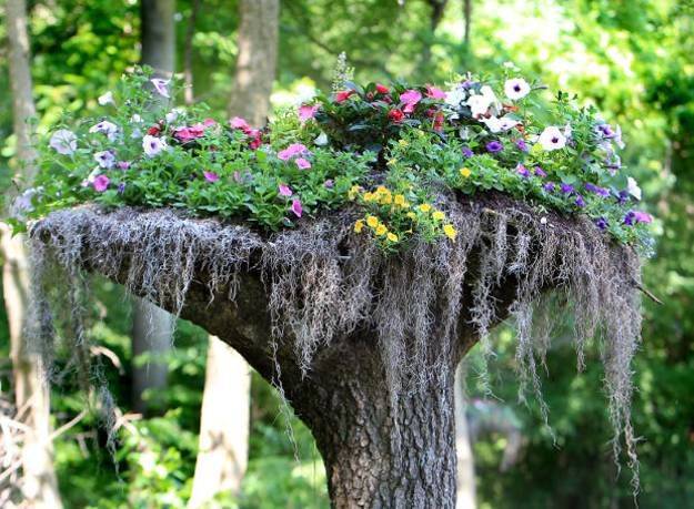 Impressive Stumpery Garden Decorations