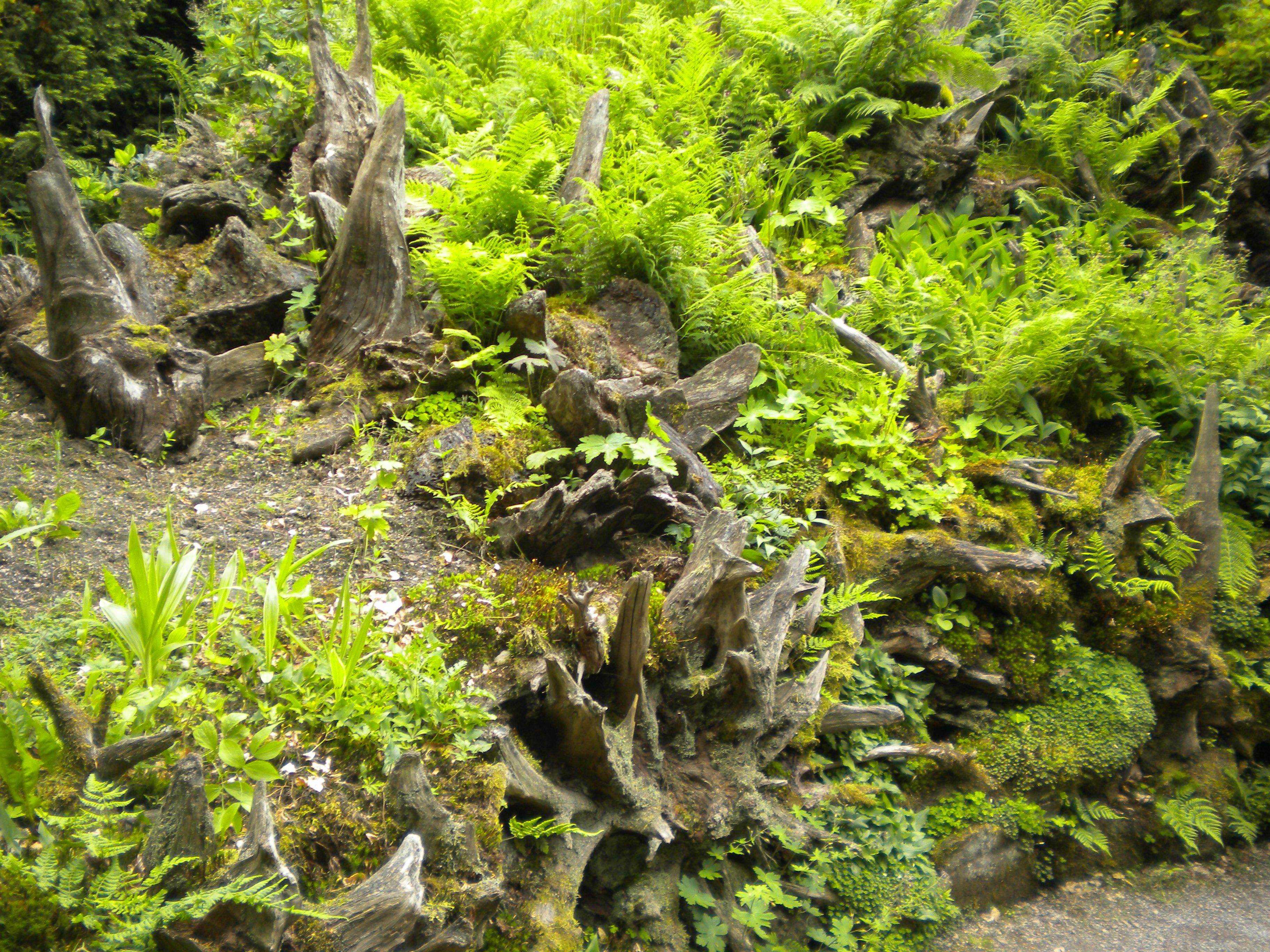 The Beginning Small Back Gardens