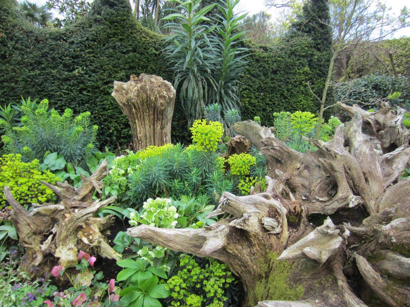 Arundel Castle Gardens