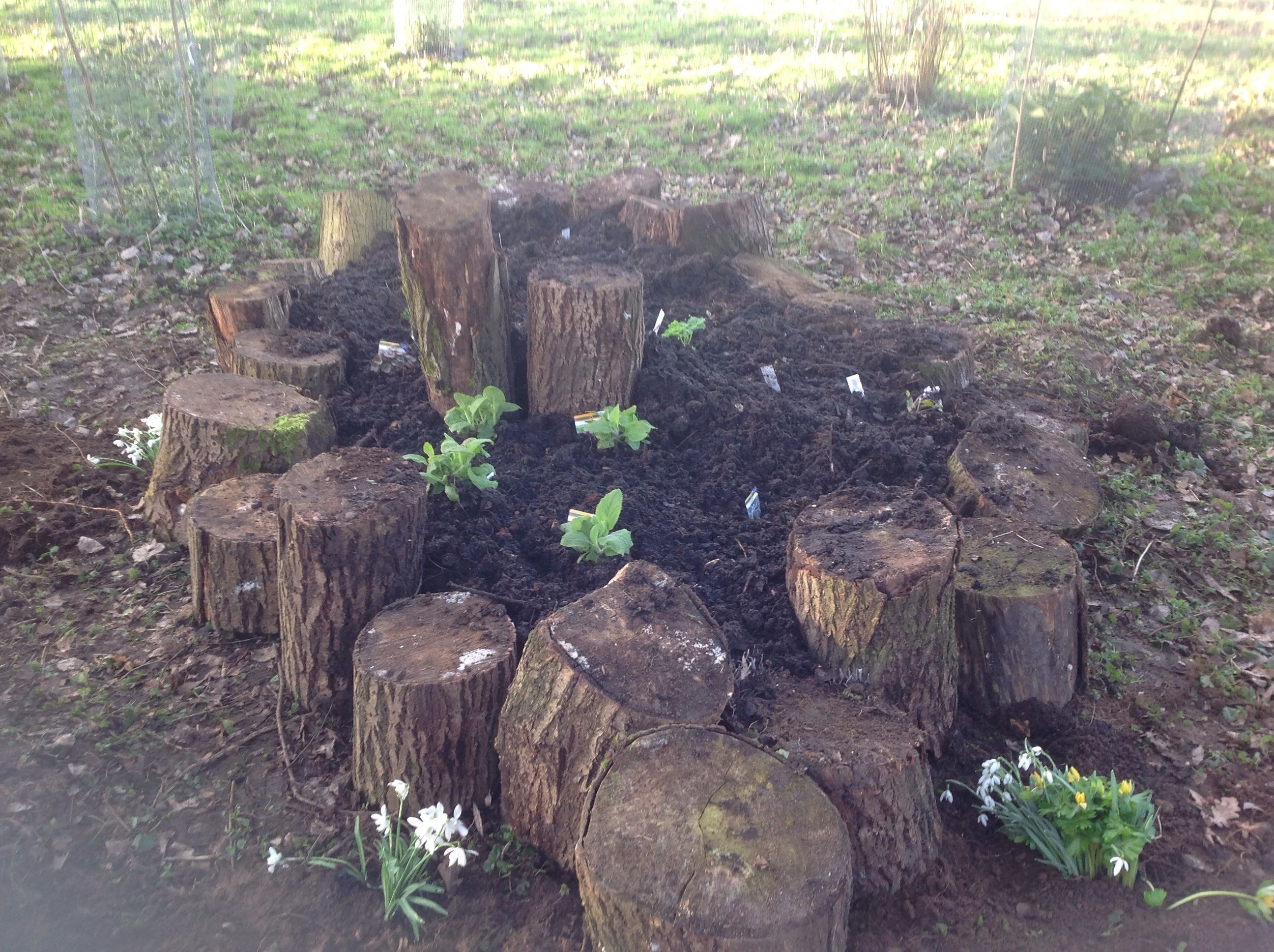 Arundel Castle Gardens