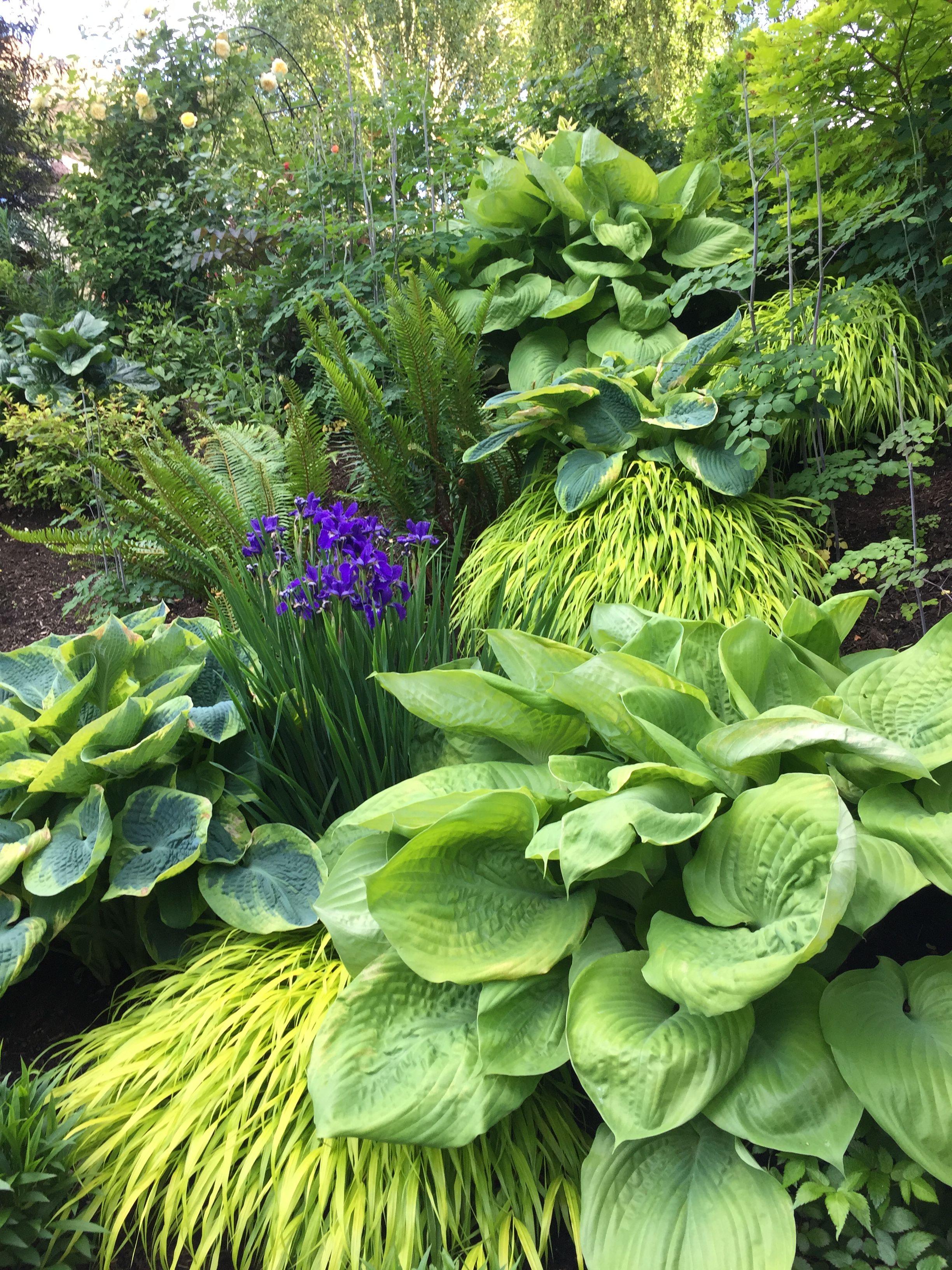 My Favorite Big Blue