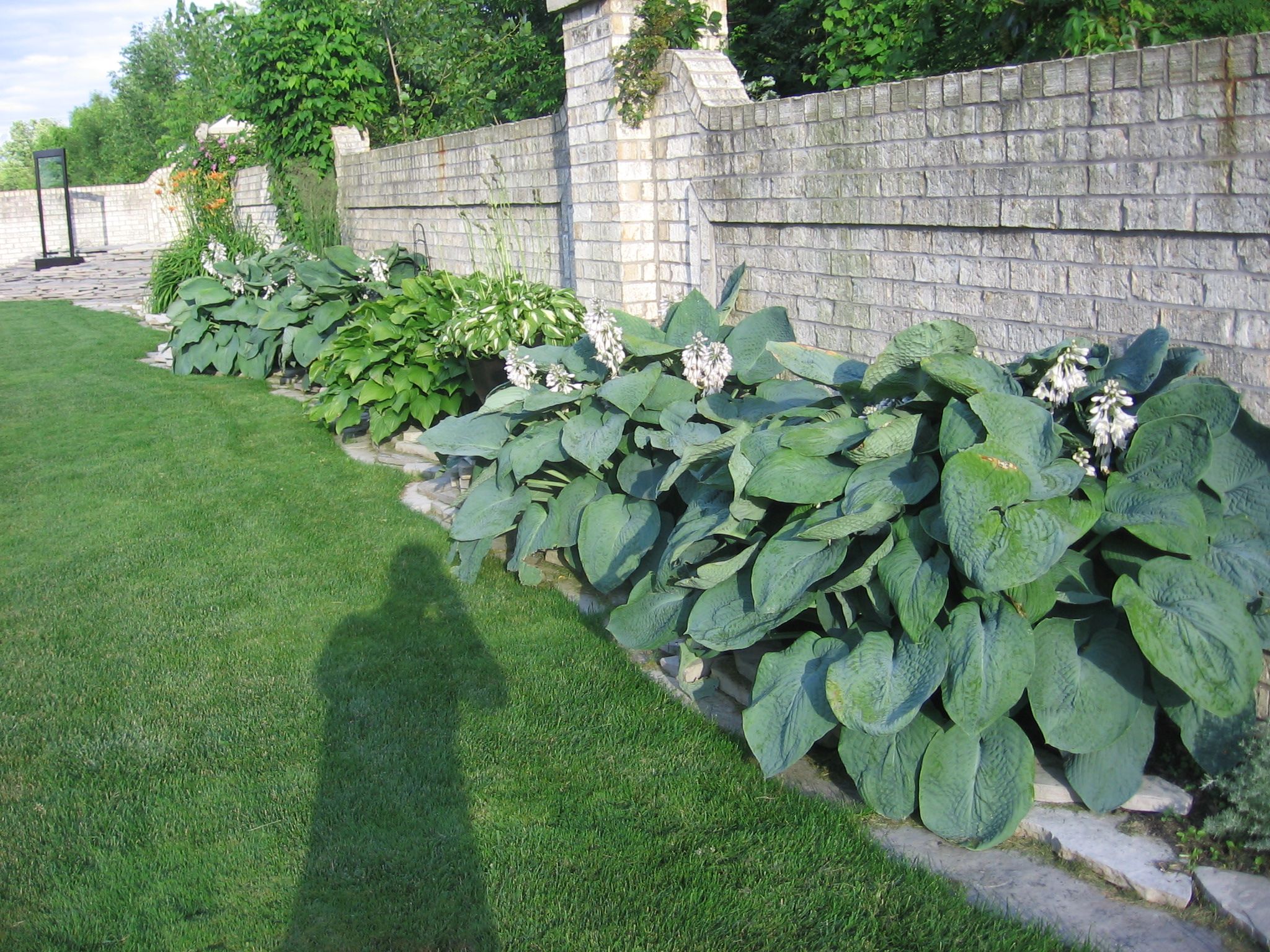 Tree Landscaping Ideas