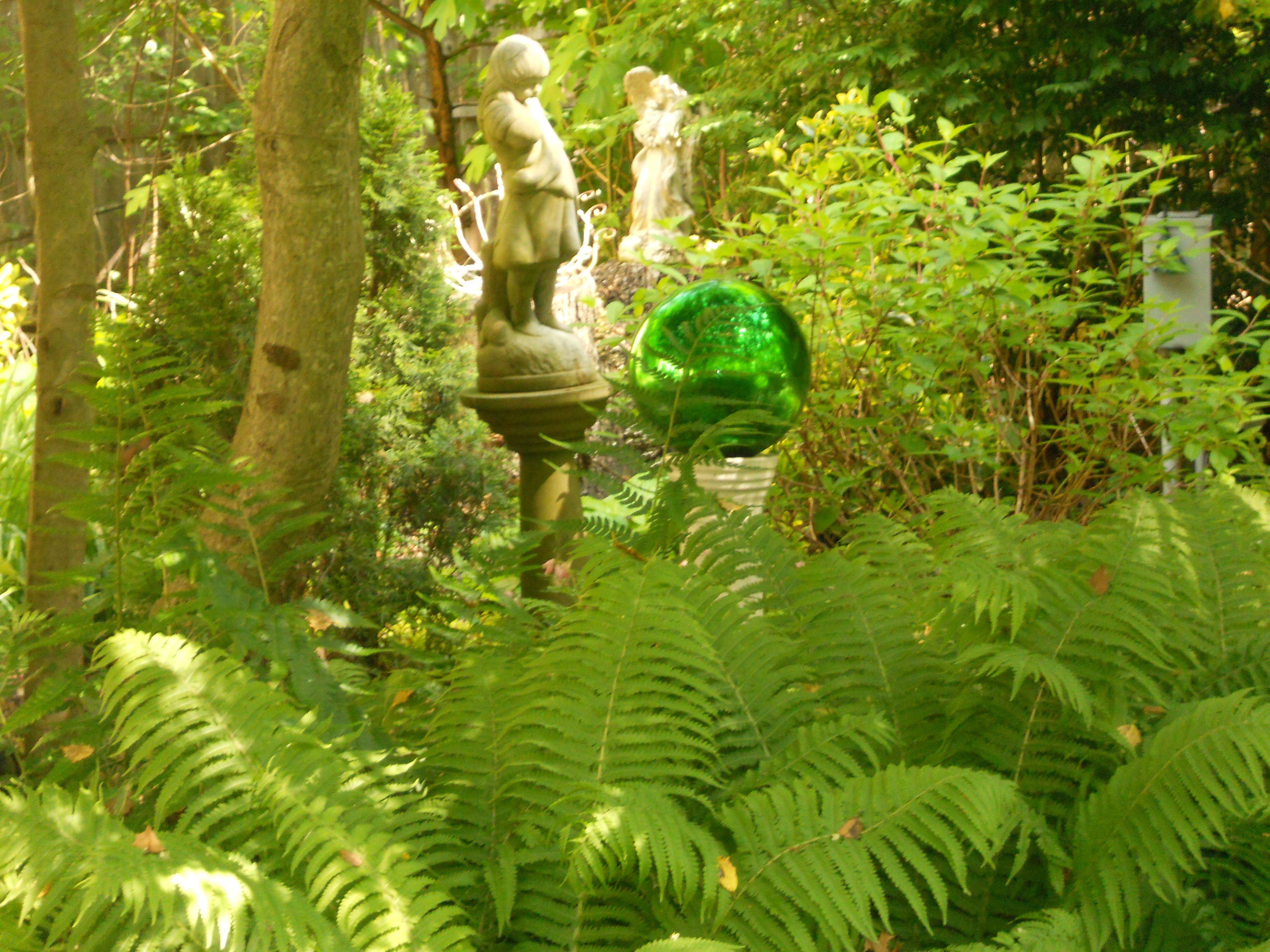 Tropical Garden Dreams